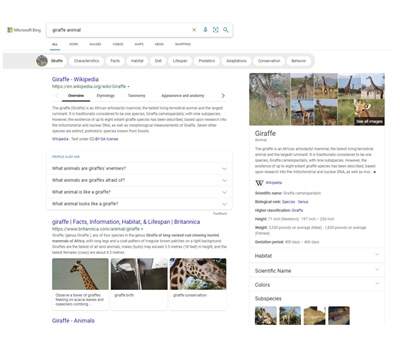 Microsoft Bing lanza 5 actualizaciones y resultados de búsqueda