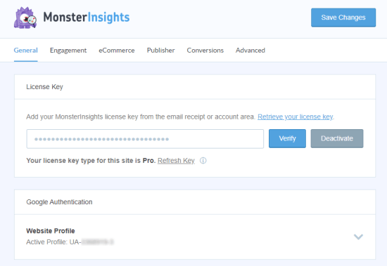 Ingrese su clave de licencia de MonsterInsights en la página de configuración