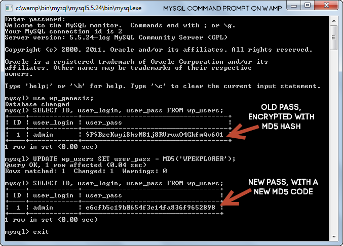 Estabilizador de contraste WP de MySQL CMD WAMP