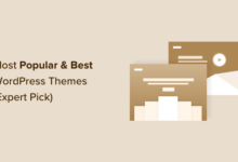 Most Popular and Best WordPress Themes