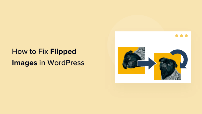 How to fix upside down or flipped images in WordPress